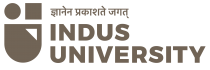 Indus University